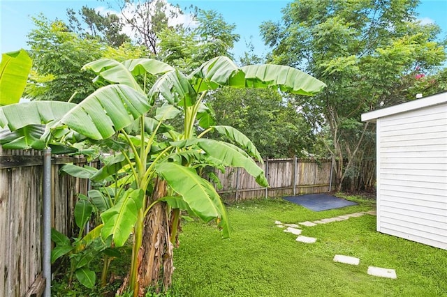 1614 River Oaks Dr, New Orleans, LA 70131 - view of fenced backyard