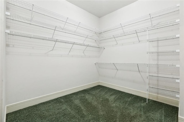 104 Acadian Ln, Mandeville, LA 70471 - walk in closet featuring carpet flooring