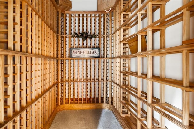 104 Acadian Ln, Mandeville, LA 70471 - view of wine room