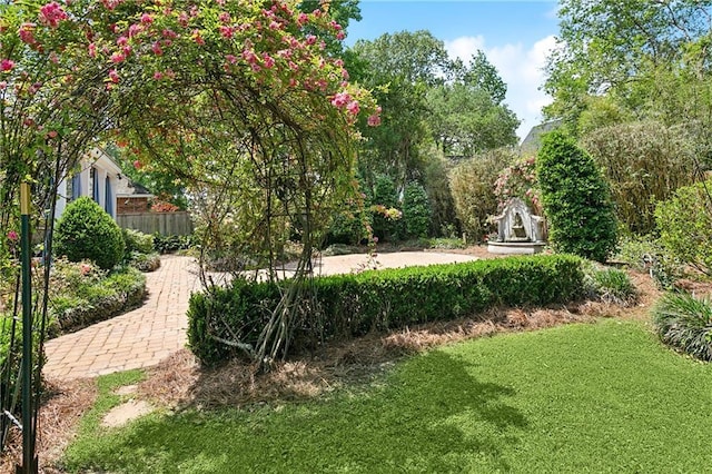 104 Acadian Ln, Mandeville, LA 70471 - view of yard