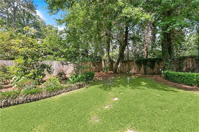 104 Acadian Ln, Mandeville, LA 70471 - view of yard
