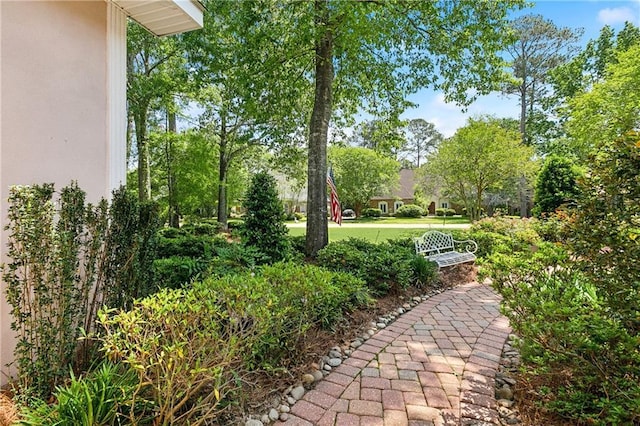 104 Acadian Ln, Mandeville, LA 70471 - view of yard