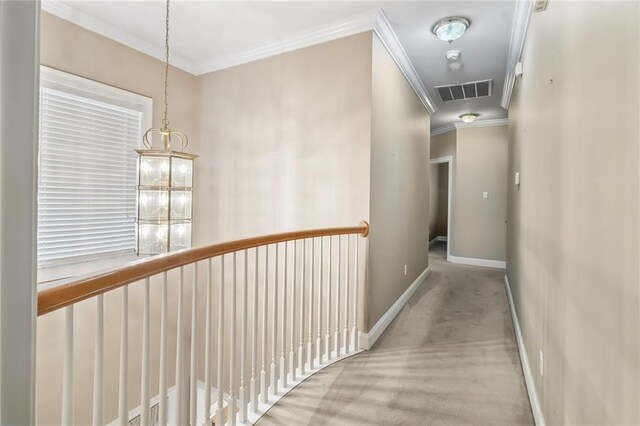 4509 Morales St, Metairie, LA 70006 - photo 13