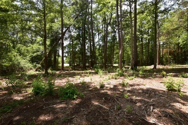 37418 Howard Oberry Rd, Pearl River, LA 70452 - photo 1