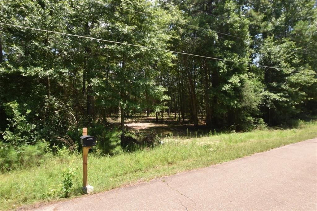 37418 Howard Oberry Rd, Pearl River, LA 70452 - photo 2