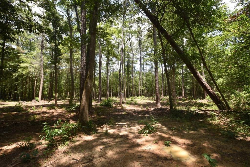 37418 Howard Oberry Rd, Pearl River, LA 70452 - photo 3