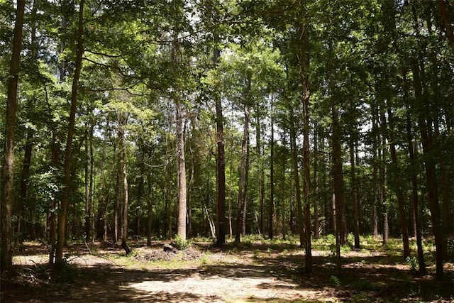 37418 Howard Oberry Rd, Pearl River, LA 70452 - photo 4