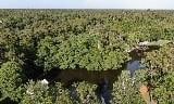Three Rivers Rd, Covington, LA 70433