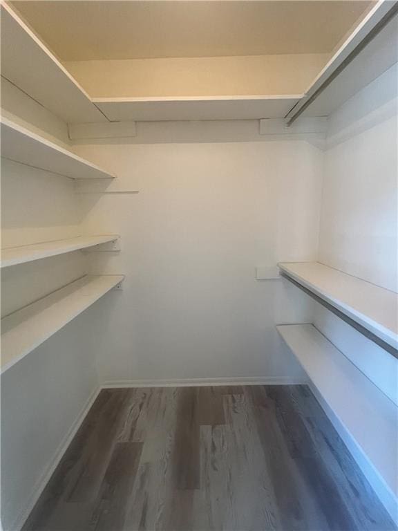 3320 N Arnoult Rd Unit 239, Metairie, LA 70002 - walk in closet with dark wood-style floors