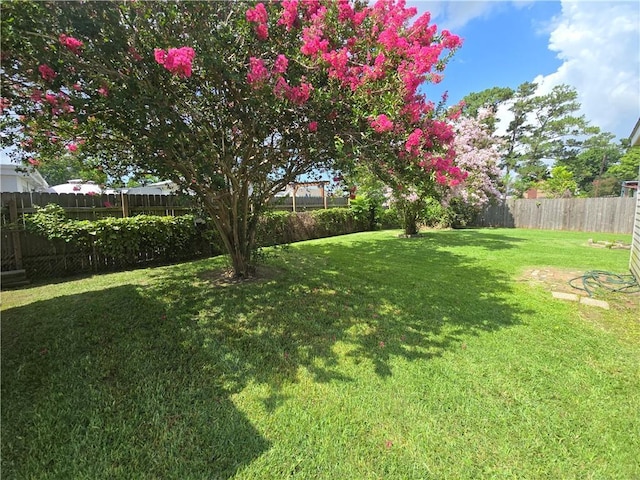 557 Grove Ave, Harahan, LA 70123 - view of fenced backyard