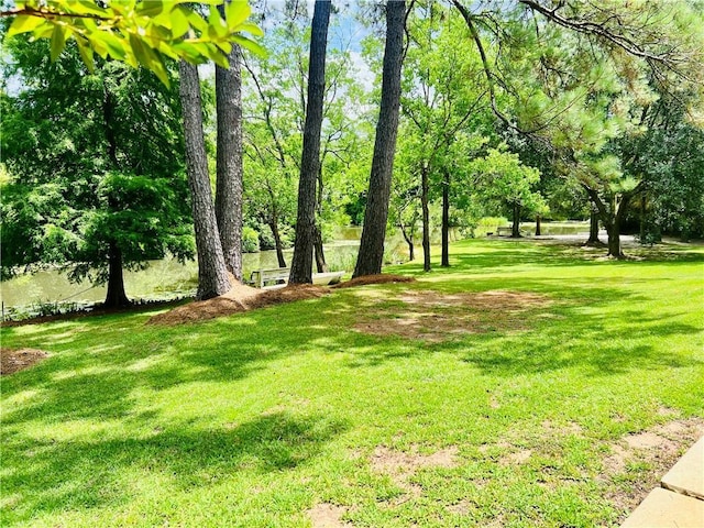 14 Riverbend Ln, Covington, LA 70433 - view of green lawn