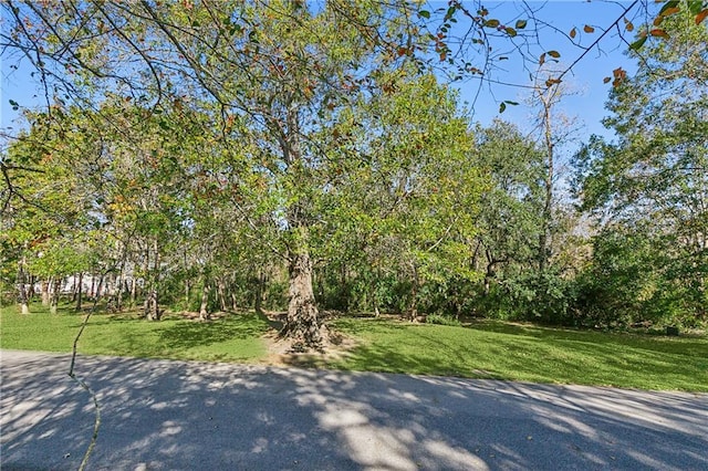 20 Arbor Cir, New Orleans, LA 70131 - photo 3