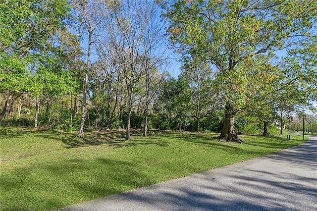 20 Arbor Cir, New Orleans, LA 70131 - photo 4