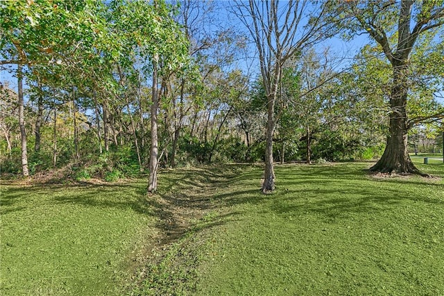 20 Arbor Cir, New Orleans, LA 70131 - photo 5