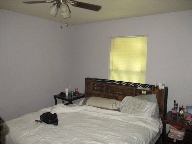 9025 Hickory St, New Orleans, LA 70118 - bedroom with a ceiling fan