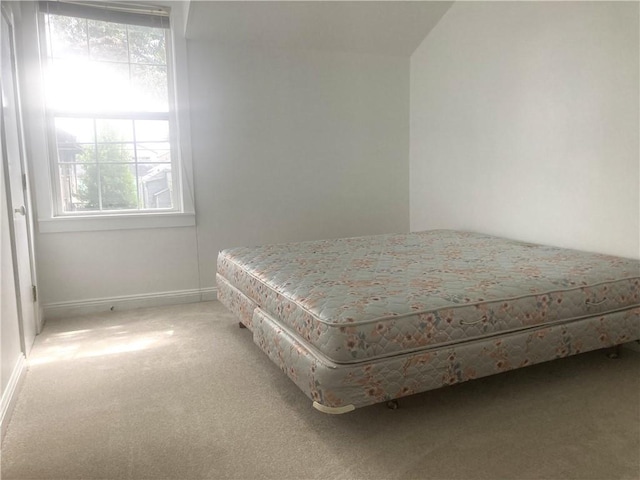 704 General Pershing St Unit 704, New Orleans, LA 70115 - bedroom featuring multiple windows and light carpet