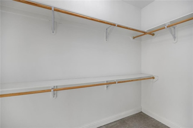 42467 Harlan Pl, Ponchatoula, LA 70454 - spacious closet with carpet