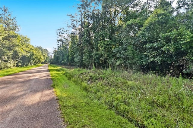0 Philebar Rd, Folsom, LA 70437 - photo 1