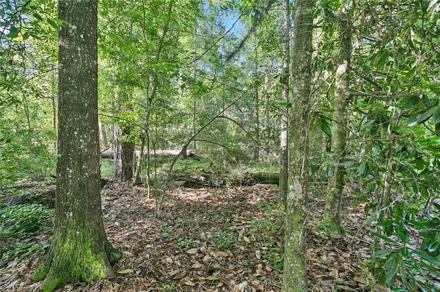 0 Philebar Rd, Folsom, LA 70437 - photo 3