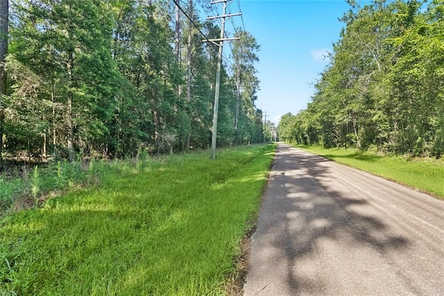 0 Philebar Rd, Folsom, LA 70437 - photo 4