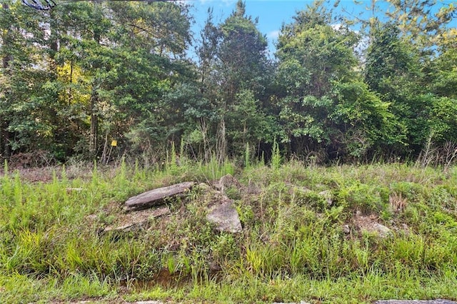 0 Philebar Rd, Folsom, LA 70437 - photo 6