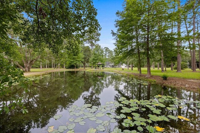 41177 Firetower Rd, Ponchatoula, LA 70454 - photo 27