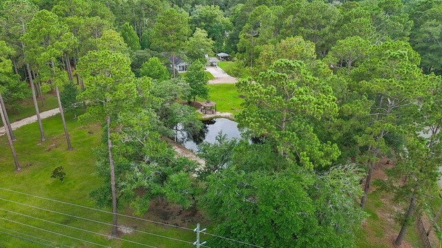 41177 Firetower Rd, Ponchatoula, LA 70454 - photo 29