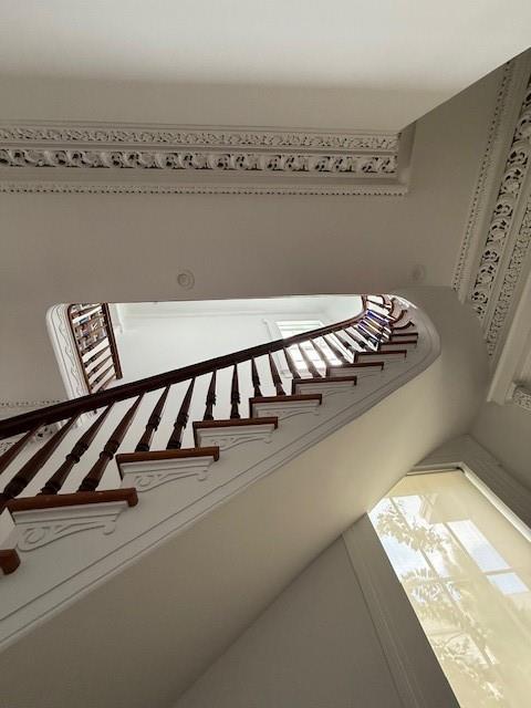 1456 Camp St, New Orleans, LA 70130 - photo 12