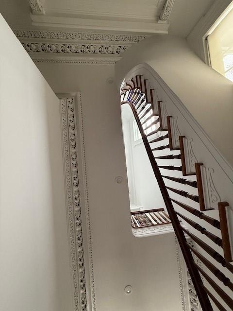 1456 Camp St, New Orleans, LA 70130 - photo 13