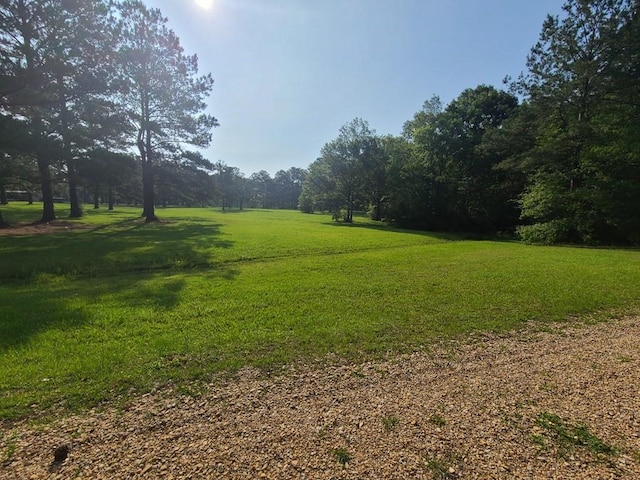 00 Thompson Ln, Carriere, MS 39466