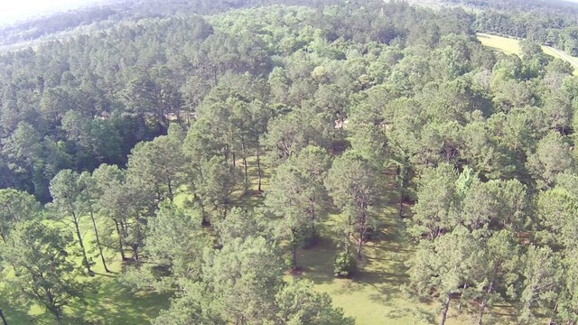 00 Thompson Ln, Carriere, MS 39466