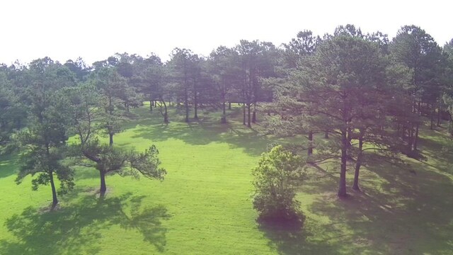 00 Thompson Ln, Carriere, MS 39466