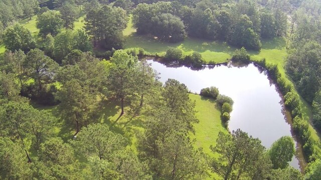 00 Thompson Ln, Carriere, MS 39466