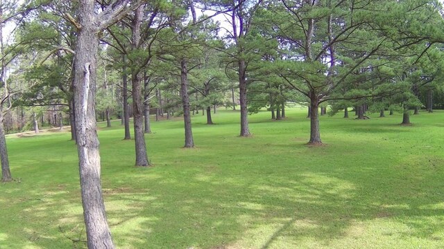 00 Thompson Ln, Carriere, MS 39466