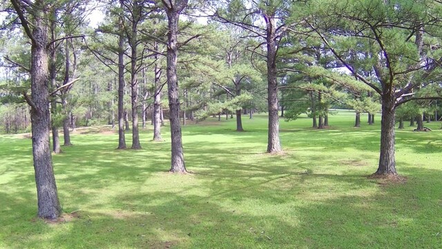 00 Thompson Ln, Carriere, MS 39466