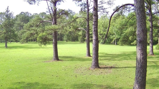00 Thompson Ln, Carriere, MS 39466