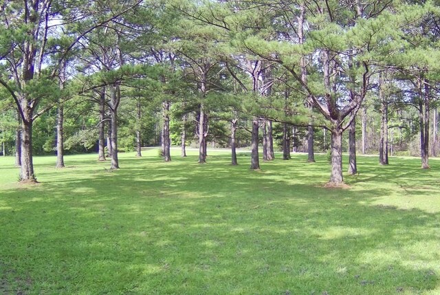 00 Thompson Ln, Carriere, MS 39466