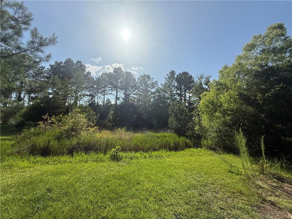 70377 Sipes Ln, Pearl River, LA 70452 - photo 2