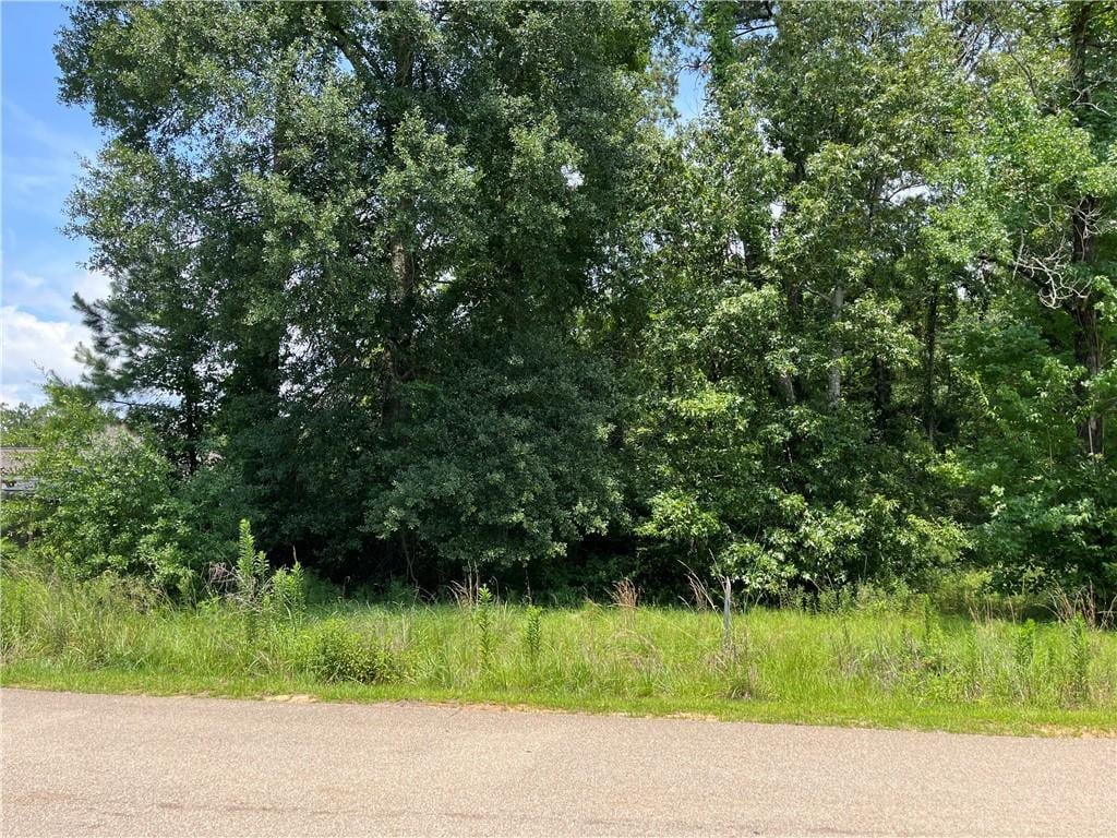 Pine Crest Dr, Madisonville, LA 70447 - photo 1