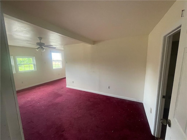 5901 N Derbigny St, New Orleans, LA 70117 - photo 24