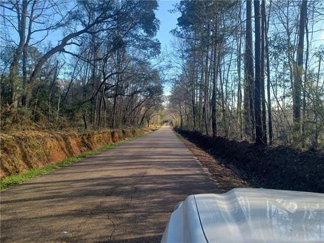 55485 Old Uneedus Rd, Loranger, LA 70446 - photo 3