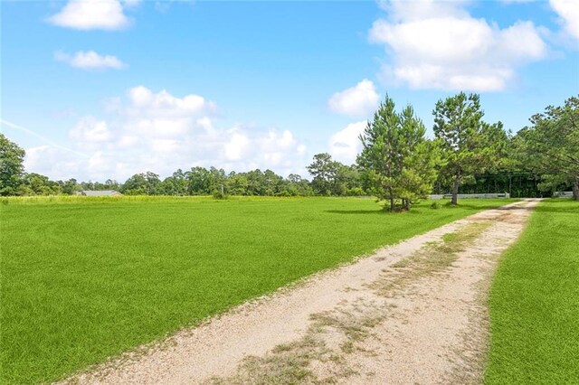 59377 Borgne Ave, Bogalusa, LA 70427 - photo 20