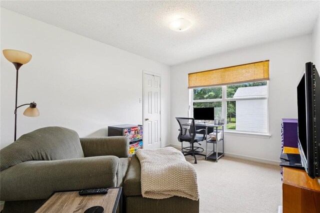 240 Emerald Crk W, Abita Springs, LA 70420 - office space featuring carpet flooring and a textured ceiling