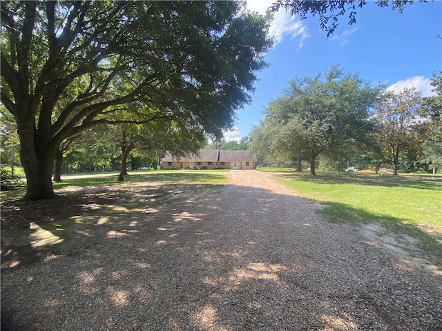 74258 N River Rd, Kentwood, LA 70444 - view of dirt / gravel driveway