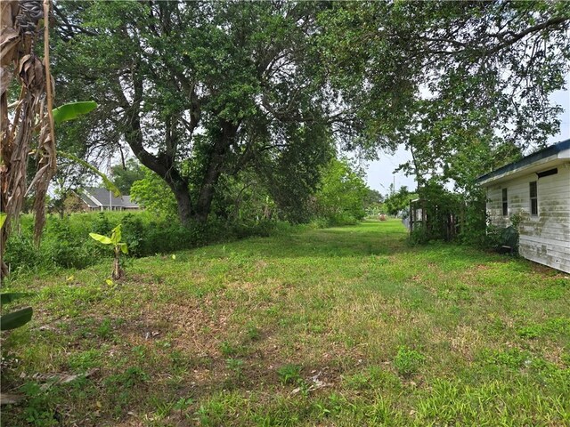 146 Satsuma Dr, Buras, LA 70041 - photo 4
