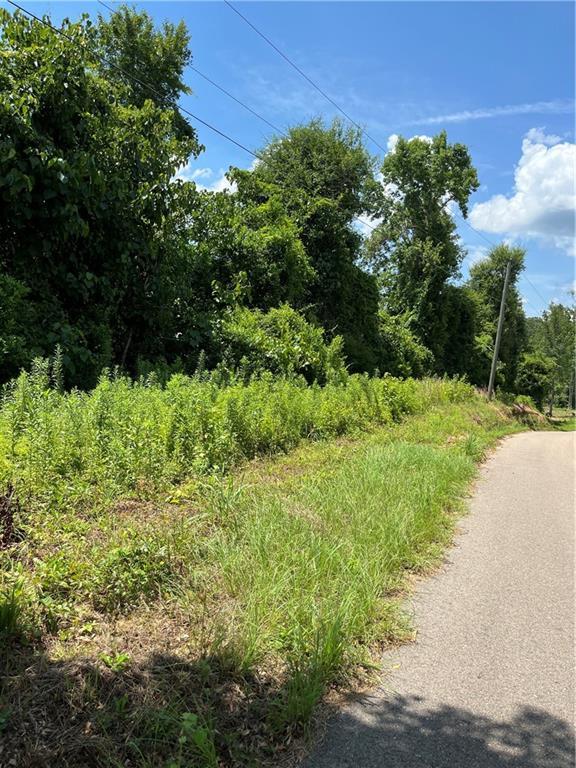 10ACRES Chess Gerald Rd, Franklinton, LA 70438