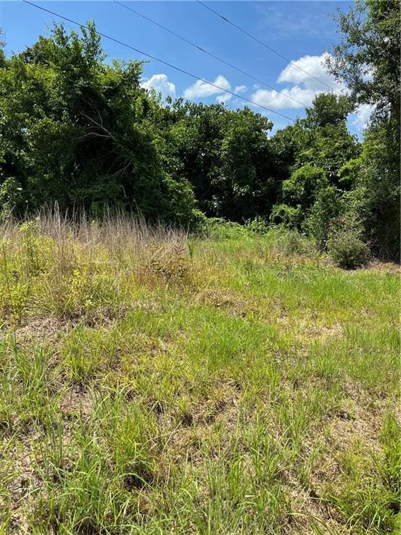 10ACRES Chess Gerald Rd, Franklinton, LA 70438