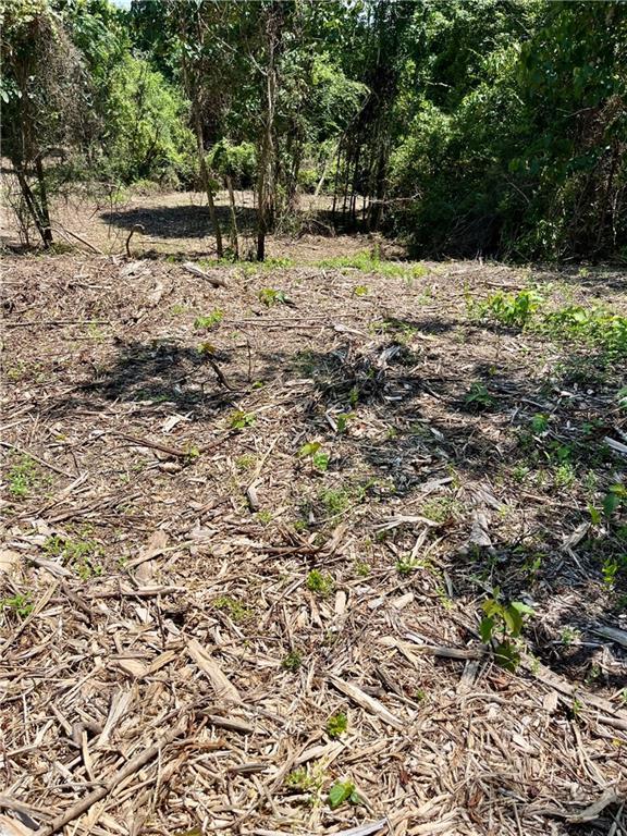 10ACRES Chess Gerald Rd, Franklinton, LA 70438