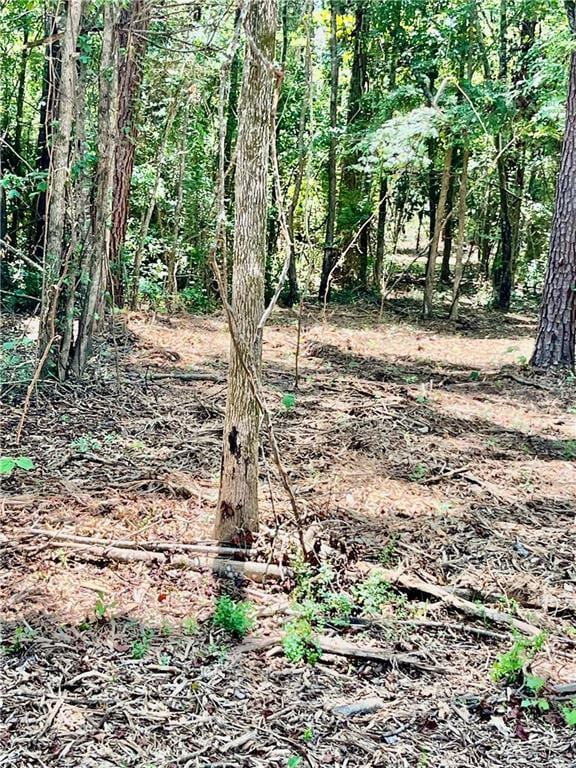 10ACRES Chess Gerald Rd, Franklinton, LA 70438