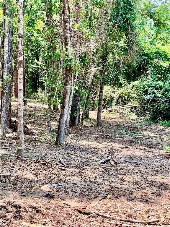 10ACRES Chess Gerald Rd, Franklinton, LA 70438